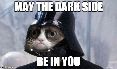 Grumpy Cat Star Wars | MAY THE DARK SIDE; BE IN YOU | image tagged in memes,grumpy cat star wars,grumpy cat | made w/ Imgflip meme maker
