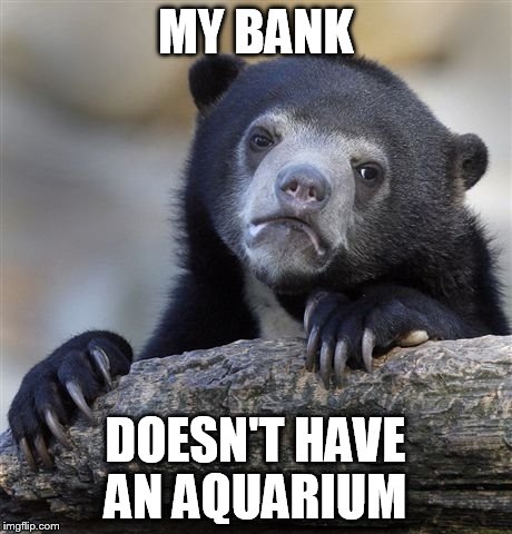 Confession Bear Meme | MY BANK DOESN'T HAVE AN AQUARIUM | image tagged in memes,confession bear | made w/ Imgflip meme maker