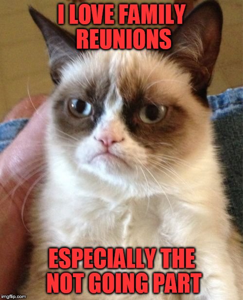 Grumpy Cat Meme | I LOVE FAMILY REUNIONS ESPECIALLY THE NOT GOING PART | image tagged in memes,grumpy cat | made w/ Imgflip meme maker