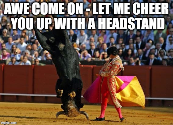 AWE COME ON - LET ME CHEER YOU UP WITH A HEADSTAND | made w/ Imgflip meme maker