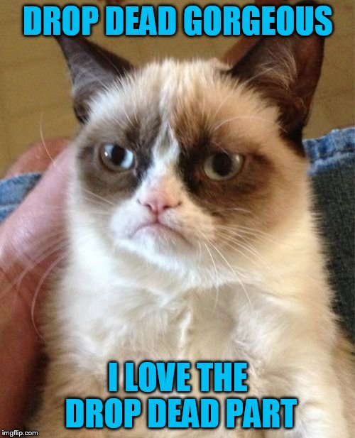 Grumpy Cat Meme | DROP DEAD GORGEOUS I LOVE THE DROP DEAD PART | image tagged in memes,grumpy cat | made w/ Imgflip meme maker