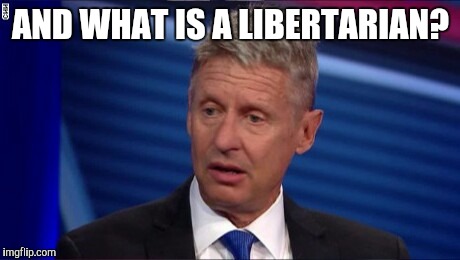 Gary Johnson,.  In the tank for Hillary  | AND WHAT IS A LIBERTARIAN? | image tagged in gary johnson,libertarian | made w/ Imgflip meme maker