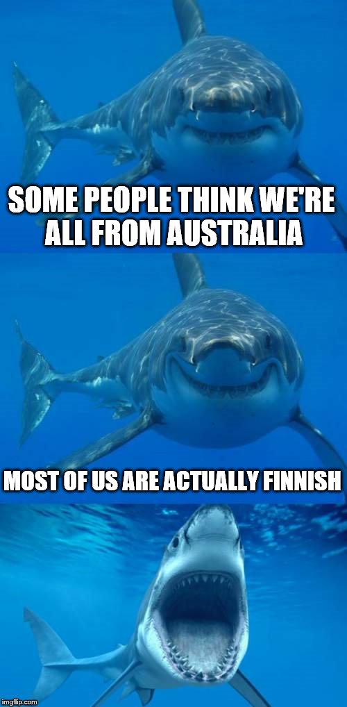 Bad Shark Pun  | SOME PEOPLE THINK WE'RE ALL FROM AUSTRALIA; MOST OF US ARE ACTUALLY FINNISH | image tagged in bad shark pun | made w/ Imgflip meme maker
