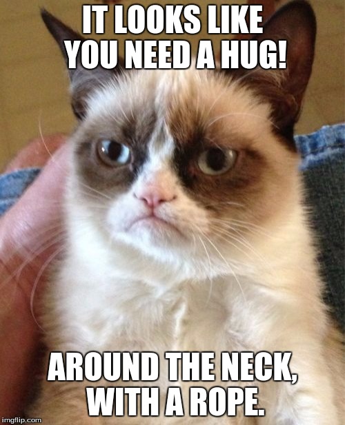 Grumpy Cat Meme | IT LOOKS LIKE YOU NEED A HUG! AROUND THE NECK, WITH A ROPE. | image tagged in memes,grumpy cat | made w/ Imgflip meme maker