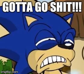 Scared sonic | GOTTA GO SHIT!!! | image tagged in scared sonic | made w/ Imgflip meme maker