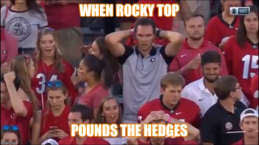 What just happened? | WHEN ROCKY TOP; POUNDS THE HEDGES | image tagged in memes | made w/ Imgflip meme maker