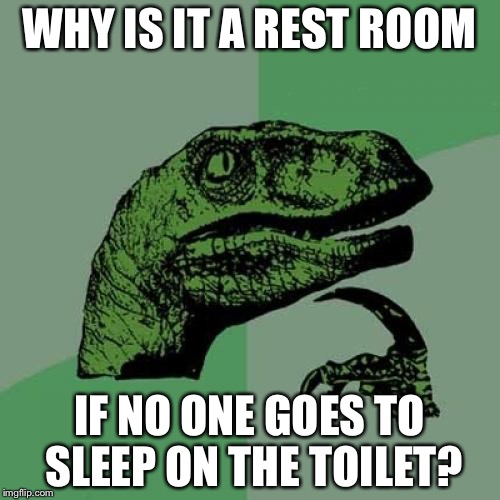 Philosoraptor | WHY IS IT A REST ROOM; IF NO ONE GOES TO SLEEP ON THE TOILET? | image tagged in memes,philosoraptor | made w/ Imgflip meme maker