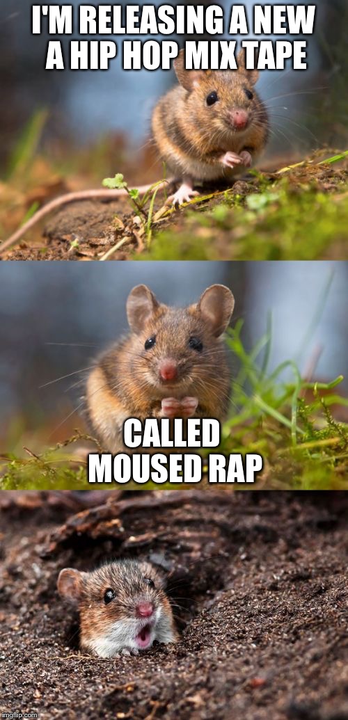 Mouse Trap | I'M RELEASING A NEW A HIP HOP MIX TAPE; CALLED MOUSED RAP | image tagged in bad pun mouse,memes,animals,hip hop | made w/ Imgflip meme maker