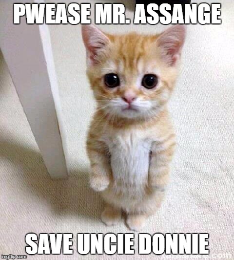 Cute Cat Meme | PWEASE MR. ASSANGE; SAVE UNCIE DONNIE | image tagged in memes,cute cat | made w/ Imgflip meme maker