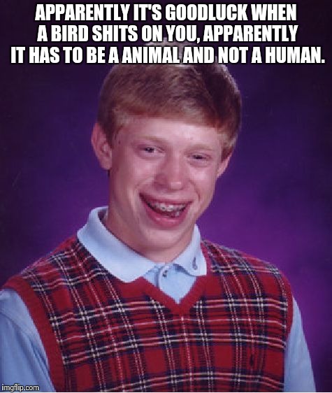 Bad Luck Brian Meme | APPARENTLY IT'S GOODLUCK WHEN A BIRD SHITS ON YOU, APPARENTLY IT HAS TO BE A ANIMAL AND NOT A HUMAN. | image tagged in memes,bad luck brian | made w/ Imgflip meme maker