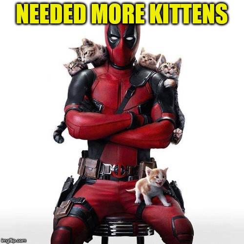 NEEDED MORE KITTENS | made w/ Imgflip meme maker