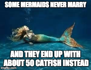 Mermaid  | SOME MERMAIDS NEVER MARRY; AND THEY END UP WITH ABOUT 50 CATFISH INSTEAD | image tagged in mermaid | made w/ Imgflip meme maker