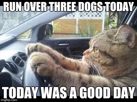 RUN OVER THREE DOGS TODAY TODAY WAS A GOOD DAY | made w/ Imgflip meme maker