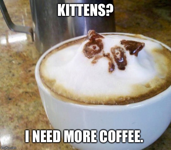 KITTENS? I NEED MORE COFFEE. | made w/ Imgflip meme maker