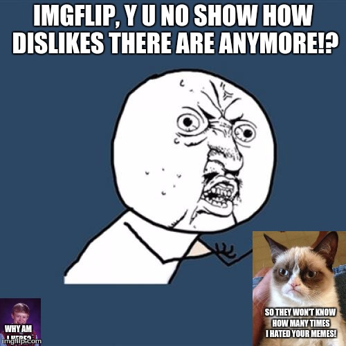 Y U No(edited version) | IMGFLIP, Y U NO SHOW HOW DISLIKES THERE ARE ANYMORE!? SO THEY WON'T KNOW HOW MANY TIMES I HATED YOUR MEMES! WHY AM I HERE? | image tagged in memes,y u no,grumpy cat,bad luck brian,crossover memes | made w/ Imgflip meme maker