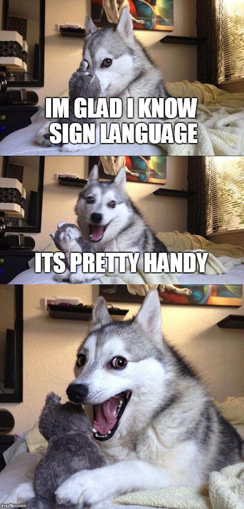 Bad Pun Dog Meme | IM GLAD I KNOW SIGN LANGUAGE; ITS PRETTY HANDY | image tagged in memes,bad pun dog | made w/ Imgflip meme maker