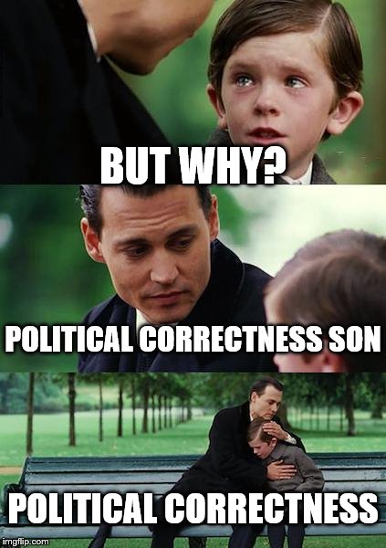 Finding Neverland Meme | BUT WHY? POLITICAL CORRECTNESS SON POLITICAL CORRECTNESS | image tagged in memes,finding neverland | made w/ Imgflip meme maker