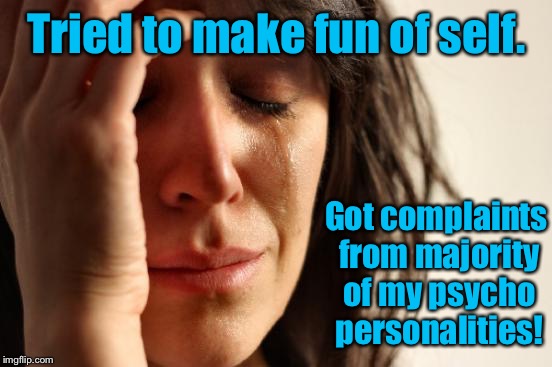 First World Problems Meme | Tried to make fun of self. Got complaints from majority of my psycho personalities! | image tagged in memes,first world problems | made w/ Imgflip meme maker