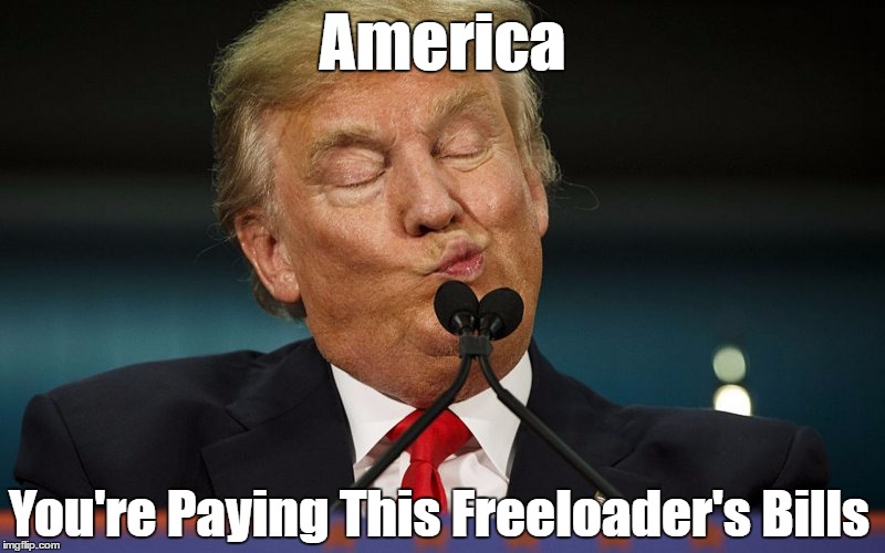 America You're Paying This Freeloader's Bills | made w/ Imgflip meme maker