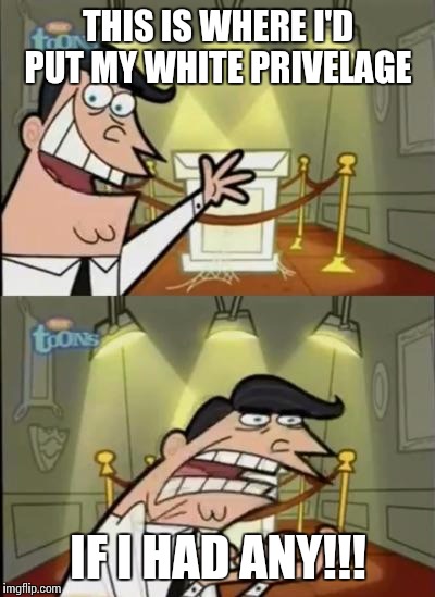 Fairly odd parents | THIS IS WHERE I'D PUT MY WHITE PRIVELAGE; IF I HAD ANY!!! | image tagged in fairly odd parents | made w/ Imgflip meme maker