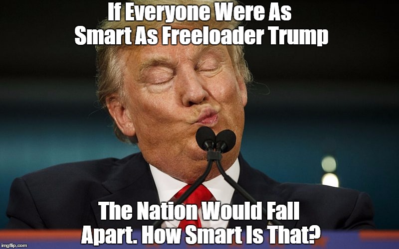 If Everyone Were As Smart As Freeloader Trump The Nation Would Fall Apart. How Smart Is That? | made w/ Imgflip meme maker