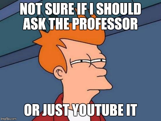 Futurama Fry | NOT SURE IF I SHOULD ASK THE PROFESSOR; OR JUST YOUTUBE IT | image tagged in memes,futurama fry | made w/ Imgflip meme maker