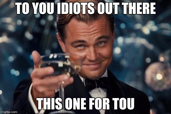 Leonardo Dicaprio Cheers | TO YOU IDIOTS OUT THERE; THIS ONE FOR TOU | image tagged in memes,leonardo dicaprio cheers | made w/ Imgflip meme maker