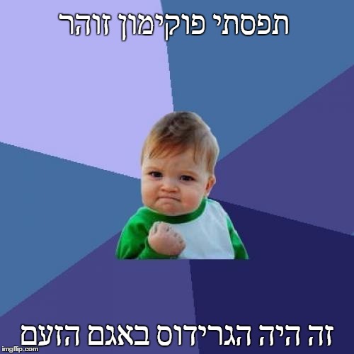 Success Kid Meme | תפסתי פוקימון זוהר; זה היה הגרידוס באגם הזעם | image tagged in memes,success kid | made w/ Imgflip meme maker