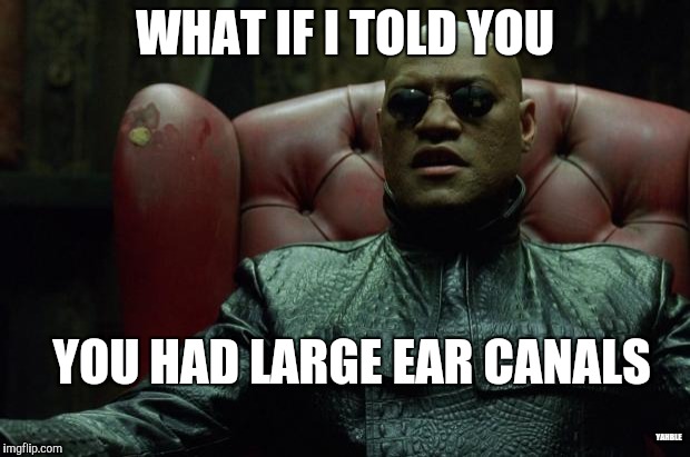 Matrix Morpheus  | WHAT IF I TOLD YOU; YOU HAD LARGE EAR CANALS; YAHBLE | image tagged in matrix morpheus | made w/ Imgflip meme maker