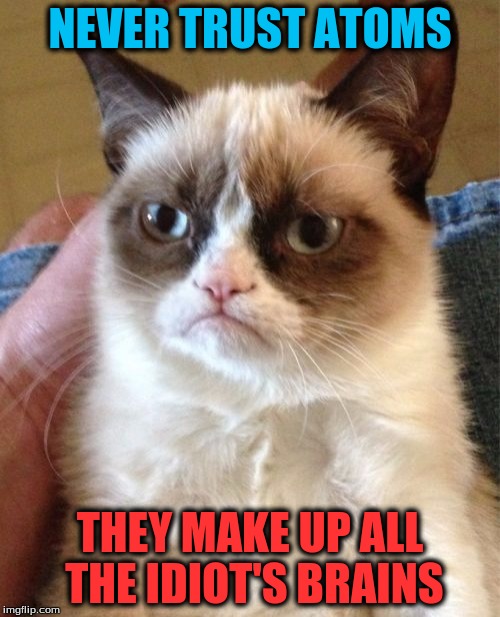 The True Purpose Of Atoms | NEVER TRUST ATOMS; THEY MAKE UP ALL THE IDIOT'S BRAINS | image tagged in memes,grumpy cat | made w/ Imgflip meme maker