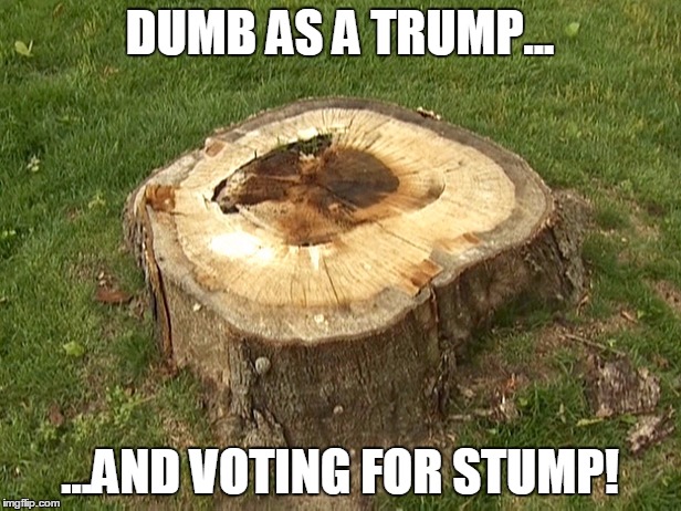 stump | DUMB AS A TRUMP... ...AND VOTING FOR STUMP! | image tagged in stump | made w/ Imgflip meme maker