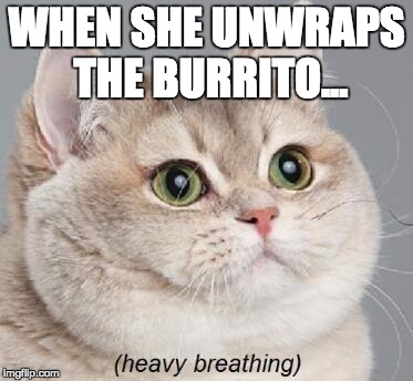 I wanna be the Ash Ketcham of Burritos | WHEN SHE UNWRAPS THE BURRITO... | image tagged in memes,heavy breathing cat,funny,funny memes,burrito,burritos | made w/ Imgflip meme maker