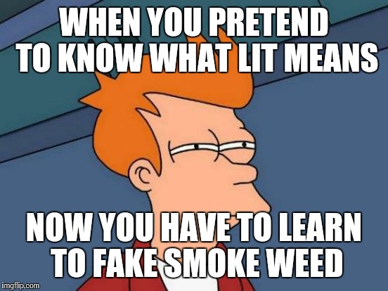 Futurama Fry | WHEN YOU PRETEND TO KNOW WHAT LIT MEANS; NOW YOU HAVE TO LEARN TO FAKE SMOKE WEED | image tagged in memes,futurama fry | made w/ Imgflip meme maker