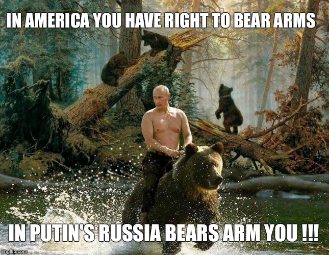 Russian reversal | IN AMERICA YOU HAVE RIGHT TO BEAR ARMS; IN PUTIN'S RUSSIA BEARS ARM YOU !!! | image tagged in memes,putin | made w/ Imgflip meme maker