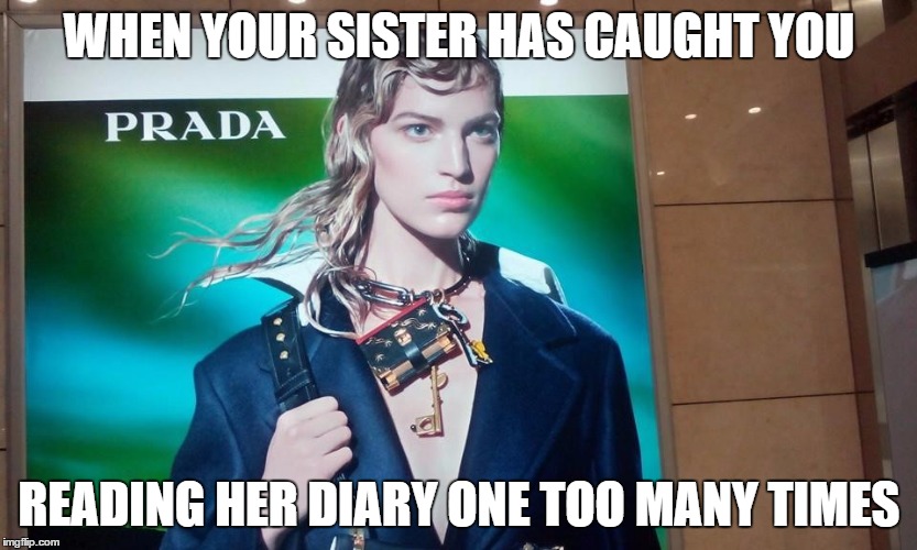 WHEN YOUR SISTER HAS CAUGHT YOU; READING HER DIARY ONE TOO MANY TIMES | image tagged in trust issues | made w/ Imgflip meme maker