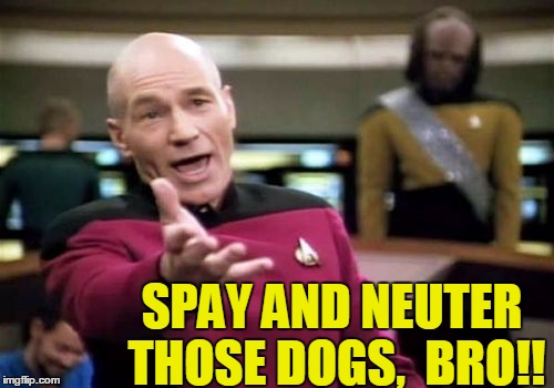 Picard Wtf Meme | SPAY AND NEUTER THOSE DOGS,  BRO!! | image tagged in memes,picard wtf | made w/ Imgflip meme maker