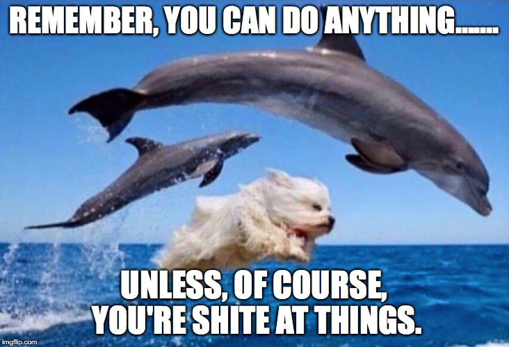 Dog swims with dolphins  | REMEMBER, YOU CAN DO ANYTHING....... UNLESS, OF COURSE, YOU'RE SHITE AT THINGS. | image tagged in dog swims with dolphins | made w/ Imgflip meme maker