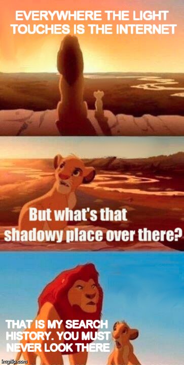 Simba Shadowy Place | EVERYWHERE THE LIGHT TOUCHES IS THE INTERNET; THAT IS MY SEARCH HISTORY. YOU MUST NEVER LOOK THERE | image tagged in memes,simba shadowy place | made w/ Imgflip meme maker