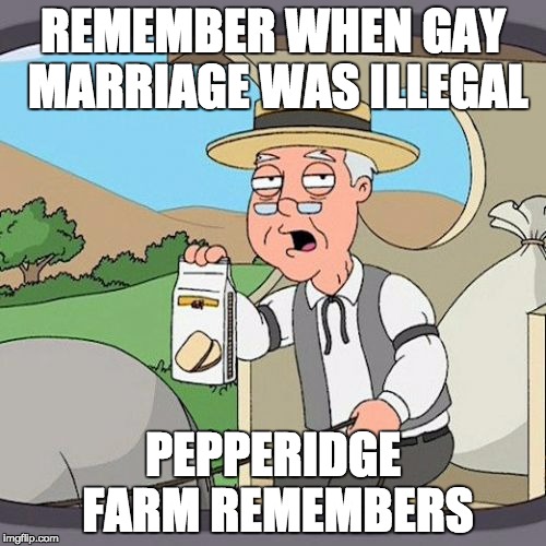 Pepperidge Farm Remembers Meme |  REMEMBER WHEN GAY MARRIAGE WAS ILLEGAL; PEPPERIDGE FARM REMEMBERS | image tagged in memes,pepperidge farm remembers | made w/ Imgflip meme maker