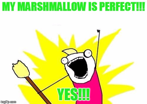 X All The Y | MY MARSHMALLOW IS PERFECT!!! YES!!! | image tagged in memes,x all the y | made w/ Imgflip meme maker