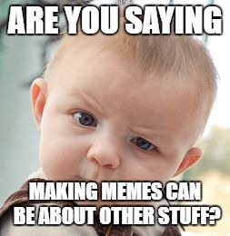 Skeptical Baby Meme | ARE YOU SAYING MAKING MEMES CAN BE ABOUT OTHER STUFF? | image tagged in memes,skeptical baby | made w/ Imgflip meme maker