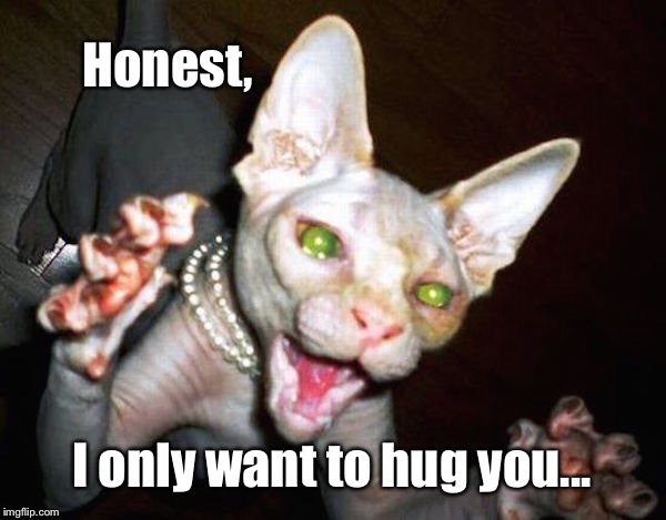 Honest, I only want to hug you... | image tagged in psycho cat,hug me,let me love you | made w/ Imgflip meme maker