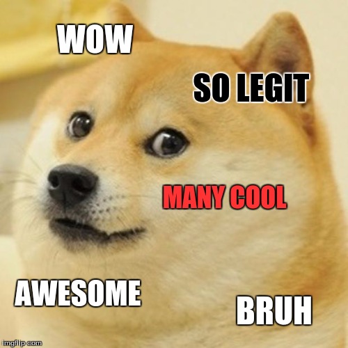Doge Meme | WOW SO LEGIT MANY COOL AWESOME BRUH | image tagged in memes,doge | made w/ Imgflip meme maker