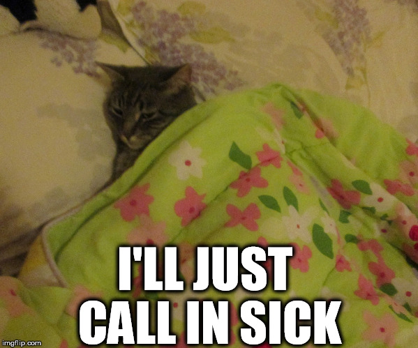 I'LL JUST CALL IN SICK | image tagged in tired kitty | made w/ Imgflip meme maker