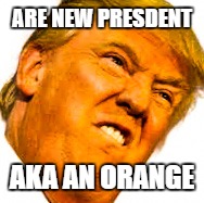 The dump trump | ARE NEW PRESDENT; AKA AN ORANGE | image tagged in donald trump,orange | made w/ Imgflip meme maker