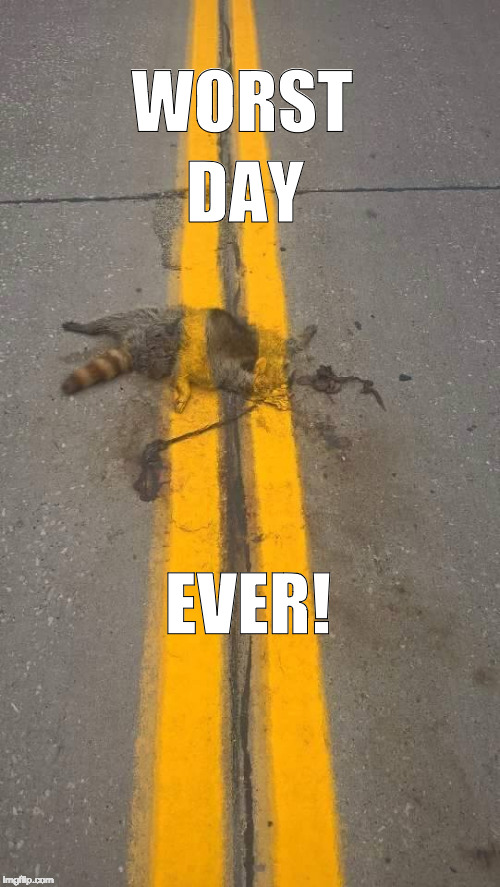 Roadkill line paint | DAY; WORST; EVER! | image tagged in roadkill line paint | made w/ Imgflip meme maker