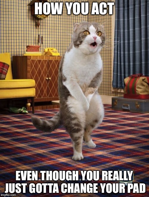 Gotta Go Cat | HOW YOU ACT; EVEN THOUGH YOU REALLY JUST GOTTA CHANGE YOUR PAD | image tagged in memes,gotta go cat | made w/ Imgflip meme maker