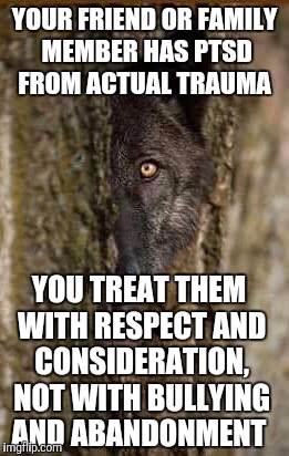 Same for a woman, man, or kid. It's not rocket science, it's common sense. | YOUR FRIEND OR FAMILY MEMBER HAS PTSD FROM ACTUAL TRAUMA; YOU TREAT THEM WITH RESPECT AND CONSIDERATION, NOT WITH BULLYING AND ABANDONMENT | image tagged in shy wolf | made w/ Imgflip meme maker