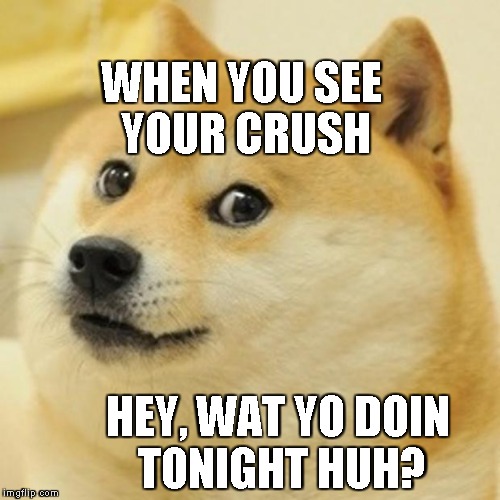 Doge Meme | WHEN YOU SEE YOUR CRUSH; HEY, WAT YO DOIN TONIGHT HUH? | image tagged in memes,doge | made w/ Imgflip meme maker