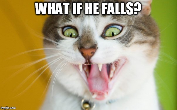 WHAT IF HE FALLS? | made w/ Imgflip meme maker